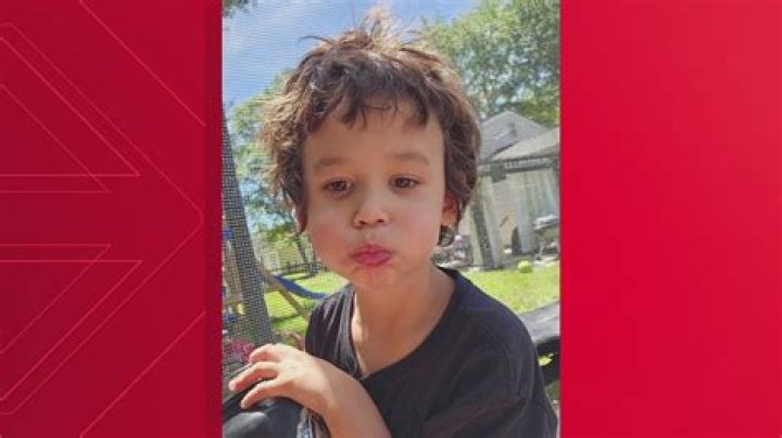  Pedro Dasilva Missing Update 2024: Is 3-Years-Old Boy Found Yet? Kidnapping Case	